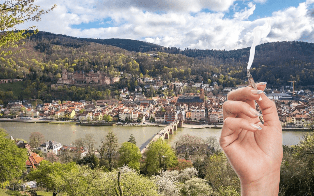 Da staunt die Polizei – mit 16 Kilo Haschisch in Heidelberg im Taxi unterwegs